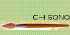 CHI SONO